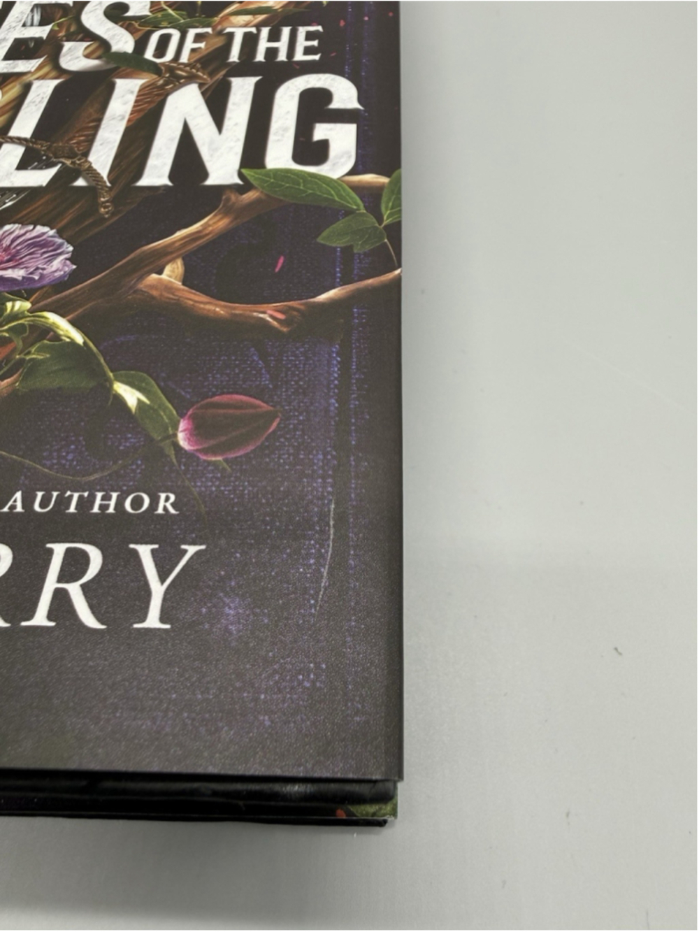 Rites of the Starling Hardcover Sprayed Edges - Picture 2 of 7